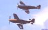 Warbird