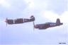 Warbird