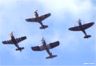 Warbird