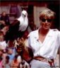Wei�kopfseeadler