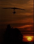 Drachenflieger