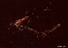 Nachtflug-Sinsheim 99