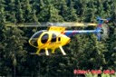 19. OF Helitreffen in Aldingen 24.06.2006