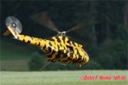 19. OF Helitreffen in Aldingen 24.06.2006