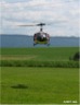 Aldingen 2003