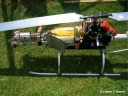 Aldingen 2003