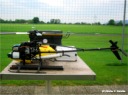 Helitreff 2003 in Bregenz