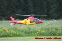Logo Treffen in Albstadt 27.05.2006