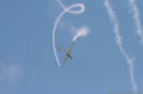 Modellbau Bodensee 19.11.2005 "Stars des Jahres"