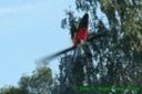 Munic Heli Masters 2006