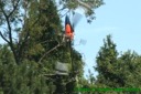 Munic Heli Masters 2006