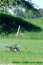 Munic Heli Masters 2006