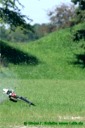 Munic Heli Masters 2006