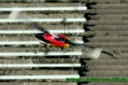Munic Heli Masters 2006