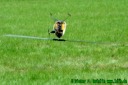 Munic Heli Masters 2006