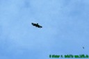 Munic Heli Masters 2006