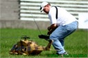 Munic Heli Masters 2006