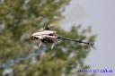 MHM07 Munich Heli Masters 2007
