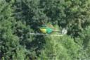 rc-heli Sommertreff in Dietzenbach05.08.2006