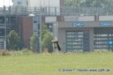 rc-heli Sommertreff in Dietzenbach05.08.2006