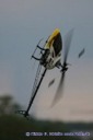 rc-heli Sommertreff in Dietzenbach05.08.2006