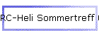 RC-Heli Sommertreff 06