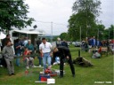 17. Heli-Treffen Walzbachtal